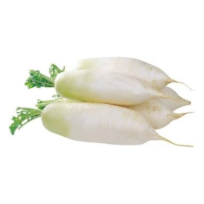 Radish-முள்ளங்கி